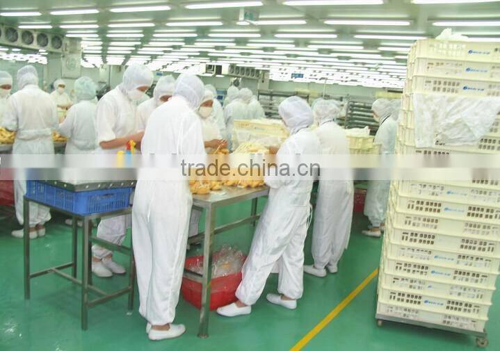 Anti-static White Working Coveralls for Sanitary