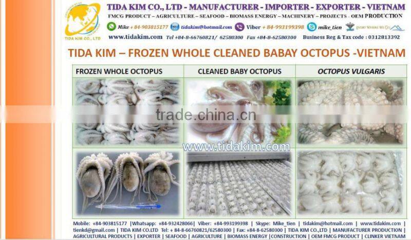 FROZEN WHOLE BABY OCTOPUS VULGARIS CLEANED BABAY OCTOPUS SHRIMP TIDA KIM LOPSTER VIETNAM FISH FILLETS BASA FRESH ALIVE NATURAL
