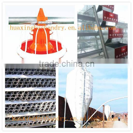 Huaxing automatic feeder for hens/broiler chicken feeding/broiler chicken coop