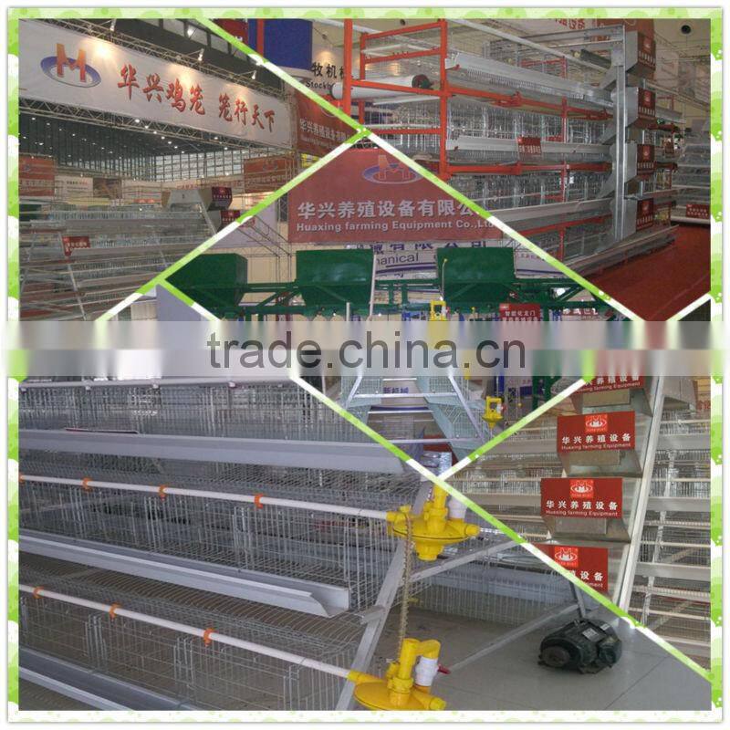 quail cage for sale & layer quail cage for poultry farm equipment