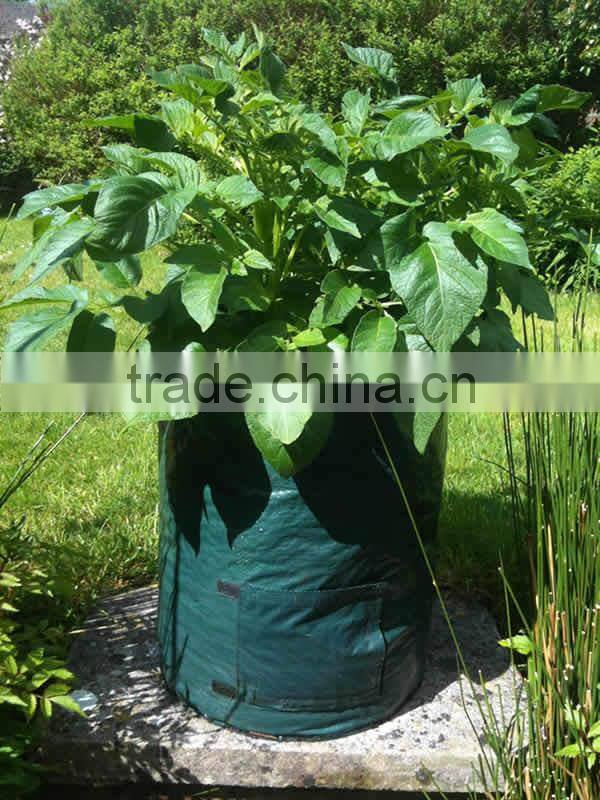 PP/PE Woven Round Garden Herb Planter Bags With Pockets,Herb Planting Grow Bag,Garden Herb Grow Bag