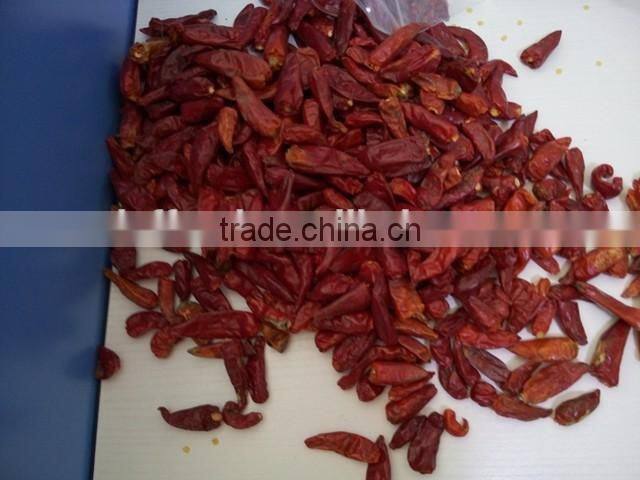 Dry red chili with high quality