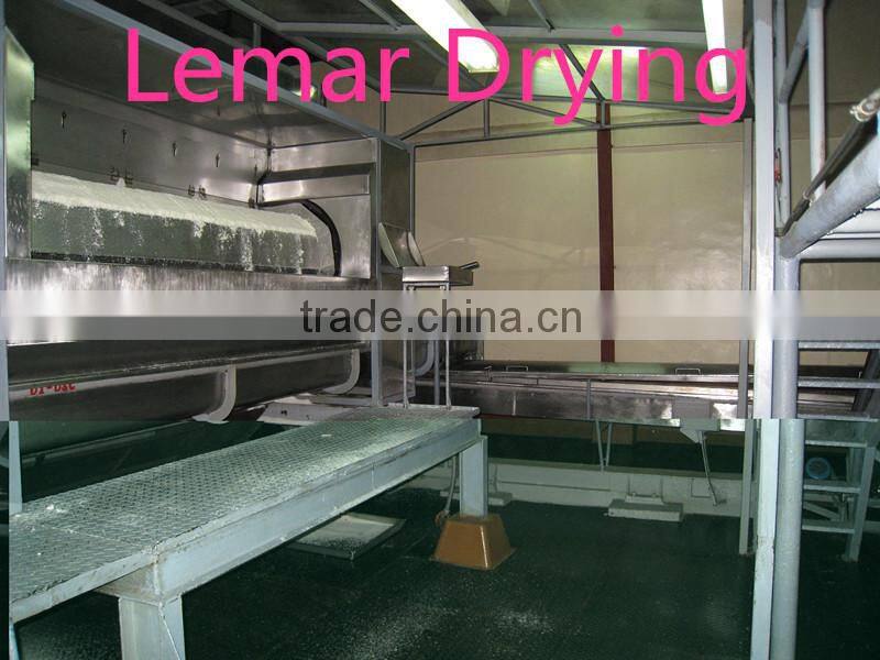 Coconut meat mesh belt dryer
