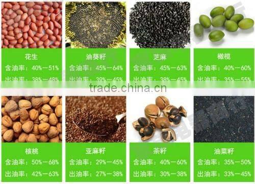 high quality cold press oil machine