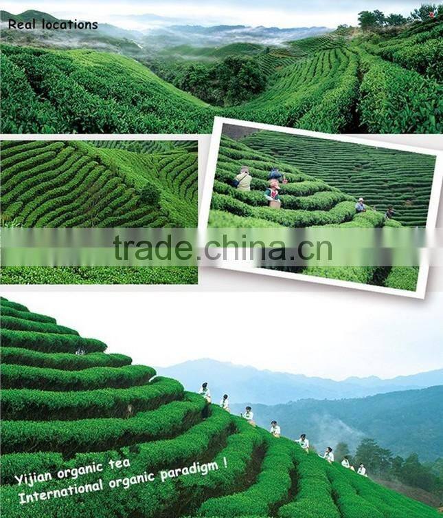 Pollution Free Health Food Drink Organic Black Tea With Beautiful Packing Box