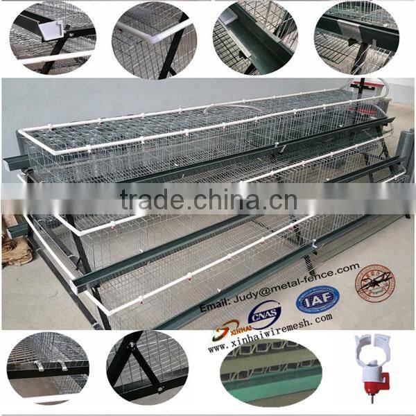 Automatic Cage System Chicken Farm Poultry Equipment