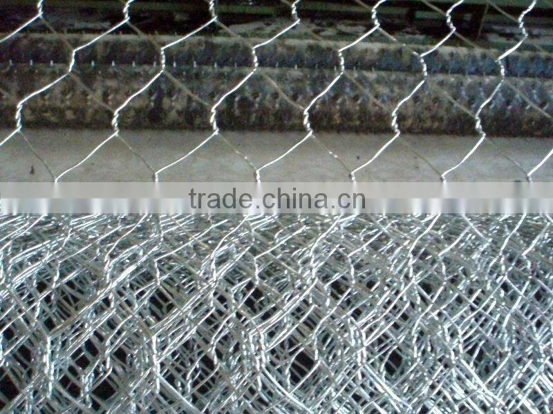 Hexagonal Wire Netting