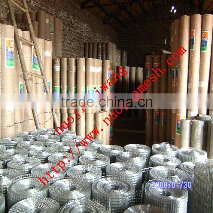 ISO 9001 Galvanized welded wire mesh price(Factory Sales)