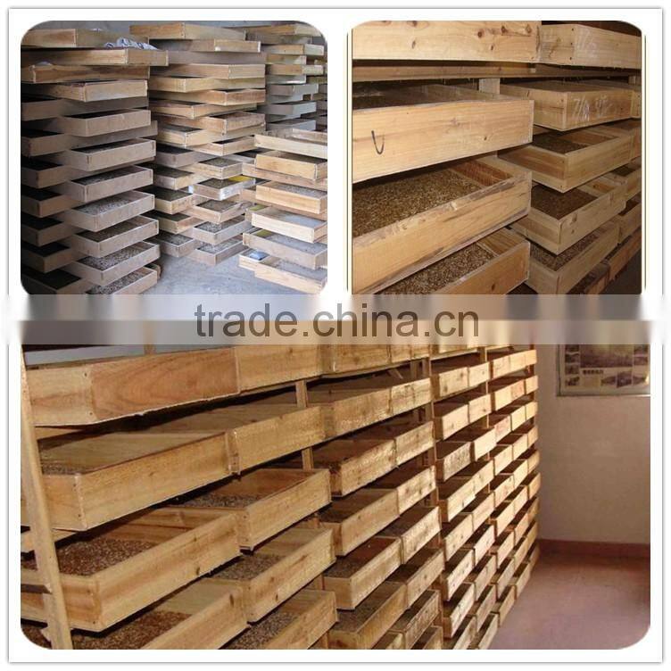 premium Animal Fodder dried mealworms bulk