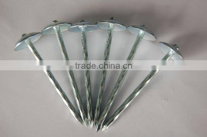BWG9*2.5'' galvanized umbrella head twisted shank roofing nails