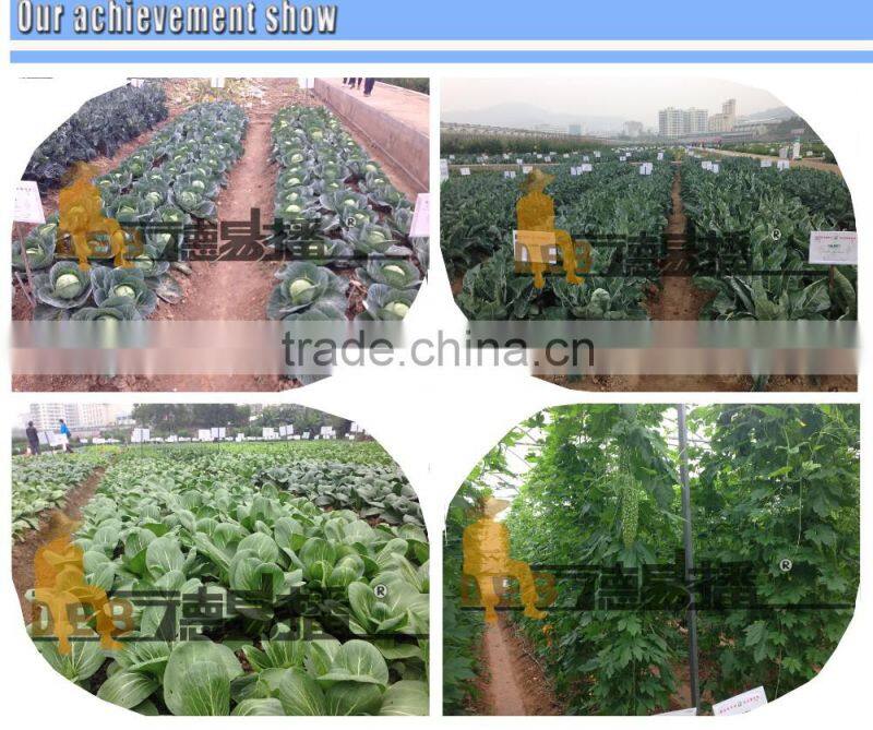 DB-S03 vegetable planting machine for seeds planting carrot