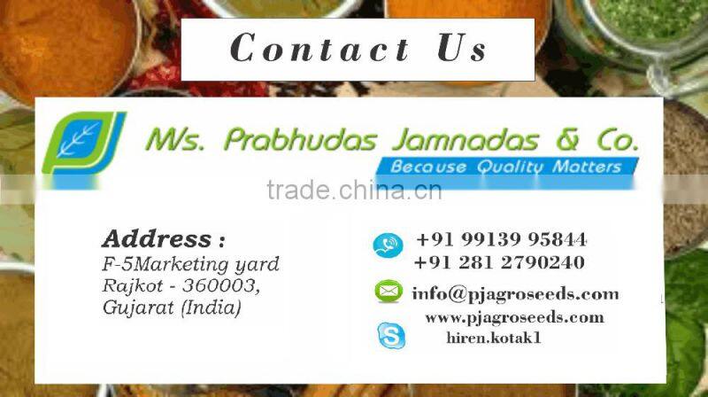 Onion Seeds Low Price