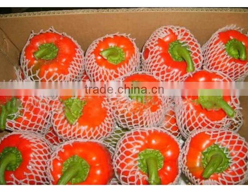high quality yellow bell pepper colorful pepper on sale