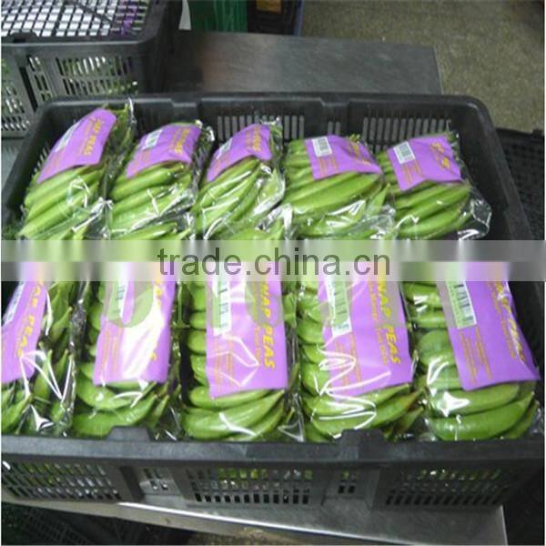 fresh sugar snap pea and snow pea
