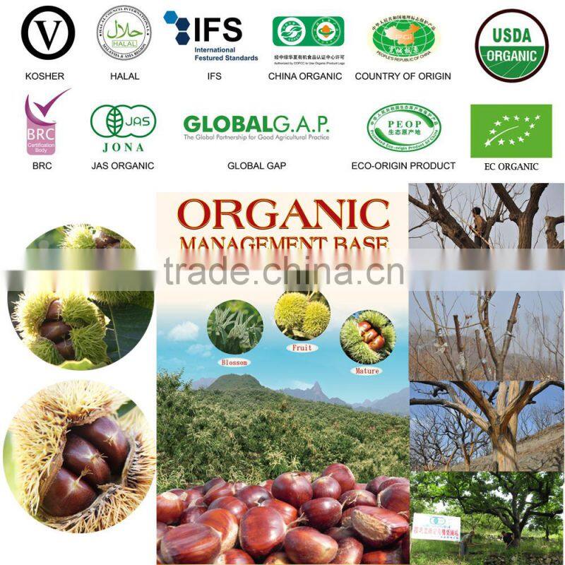 Organic Roasted Peeled Chestnuts Ready to Eat Chinese Snacks