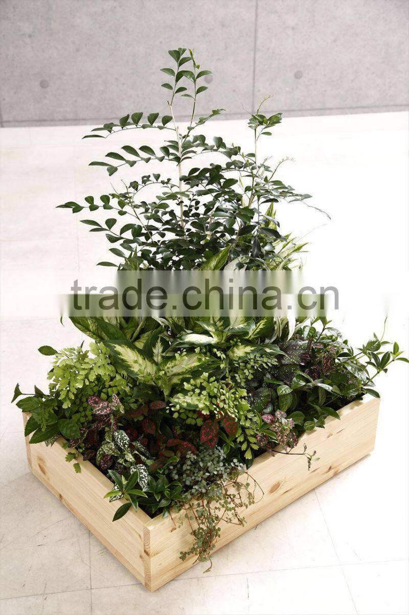 Perfect waterproof wooden planter box for Indoore Gardening