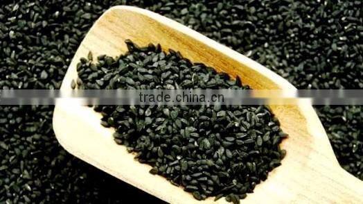 Indian black cumin seed