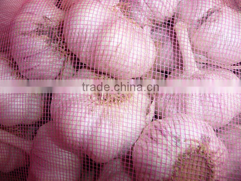 Dehydrated vegetable air dried white garlic