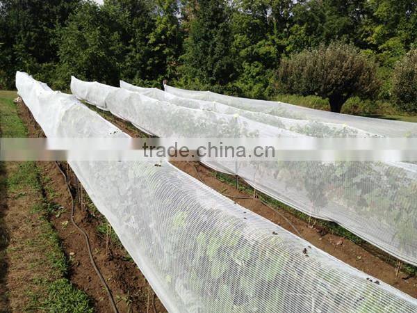 orchard anti hail net