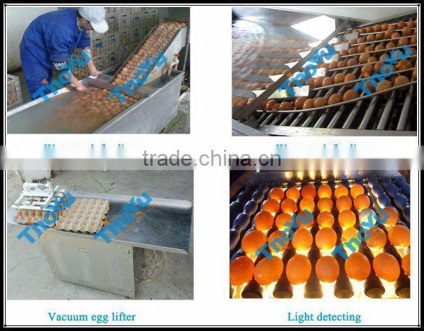 Durable stainless steel eggs breaking and yolk & white separate machine price (SMS: 0086-15937167907)