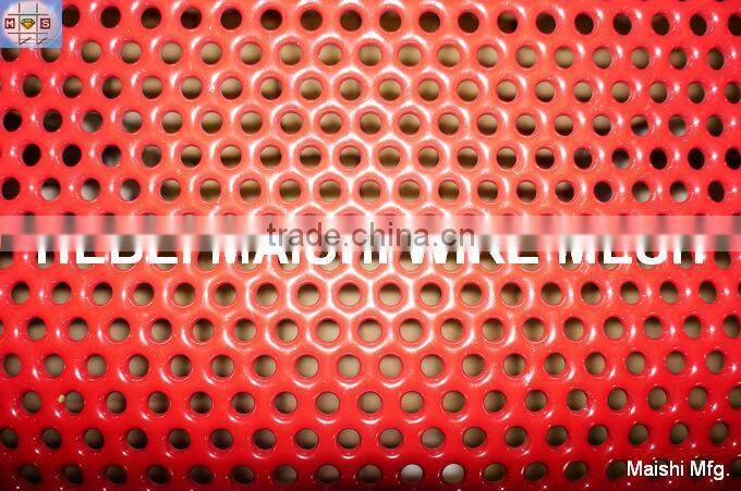 Stainless Steel Perforated Metal Mesh Sheet