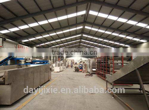 Automatic and Continute Snack Fryer/Gas Fryer