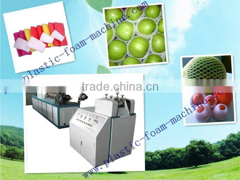 PE Foam Net Extrusion Machine(FS-FPW75)