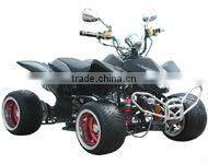 110CC Racing ATV (ATV110-016)