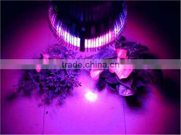 12W par38 led chicken farming lamp red blue full spectrum led grow light