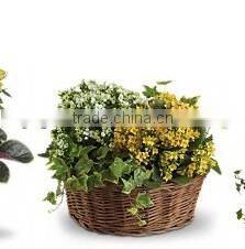 Woven Flower Basket wholesale