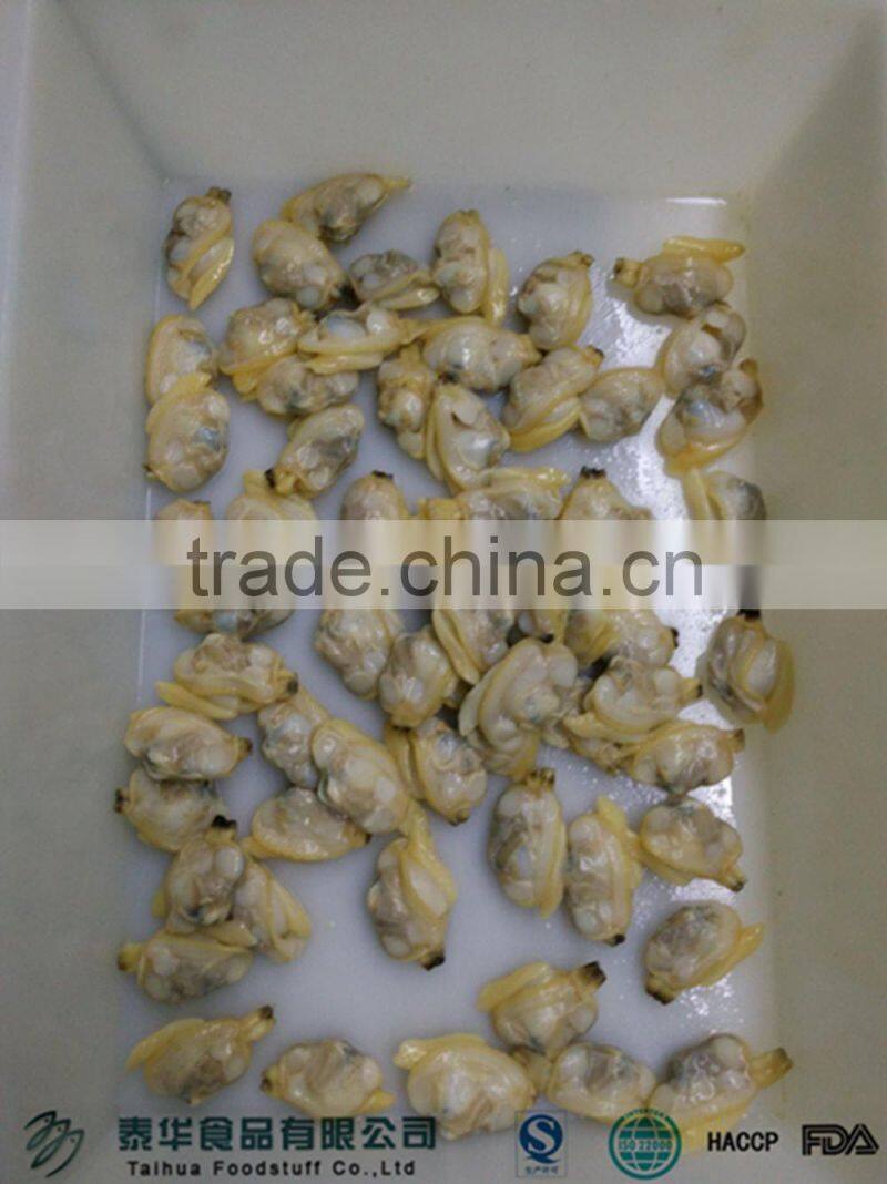 IQF cooked baby clam meat without shell for export