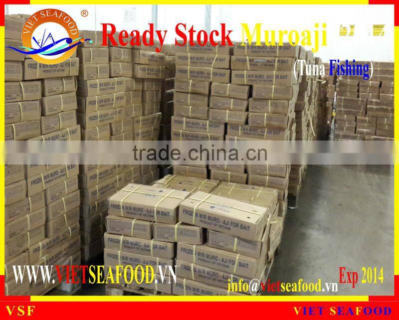 READY STOCK FOR SUPPLY MUROAJI FOR TUNA BAIT