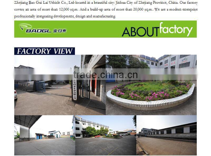 12 inch fashion mini folding electric bicycle professional tracking bike