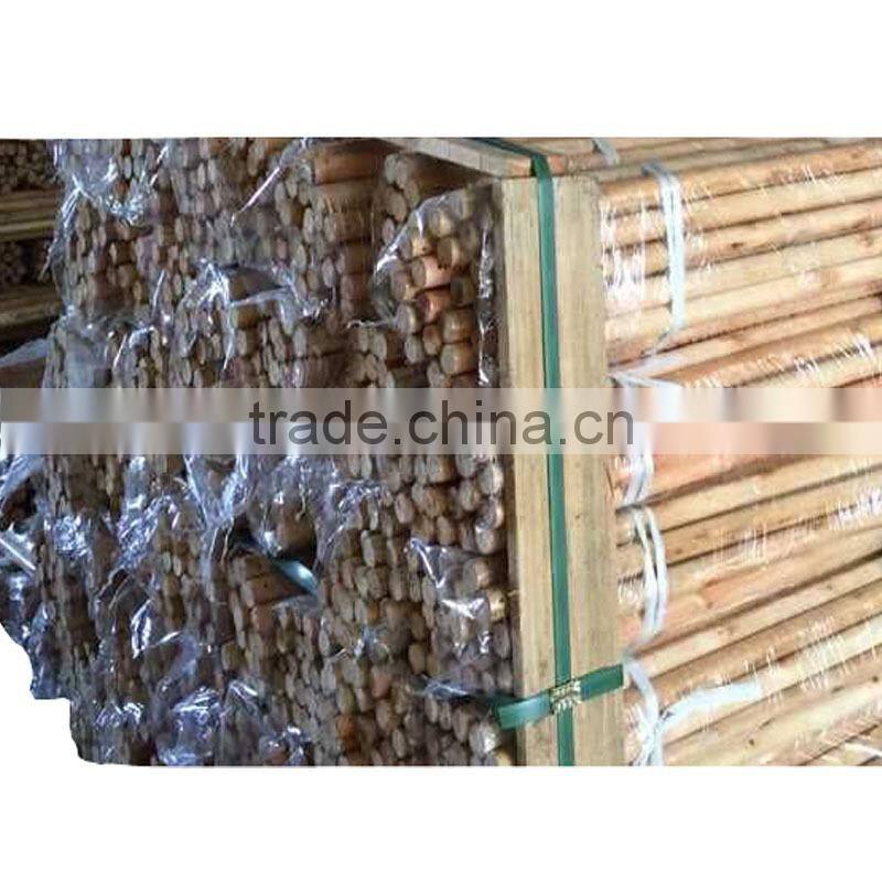 varnished wooden stick mop