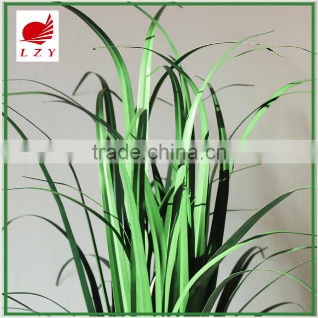 New Arrival Home Decoration Onion Grass