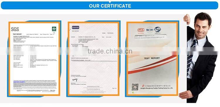 High Quality Promotional Gifts 100% Microfiber Beach Towel