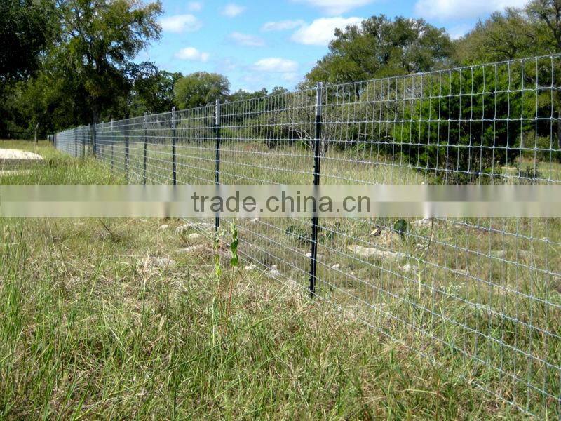 heavy duty 1.33lb/f wholesale cheap t fence studded post on sale