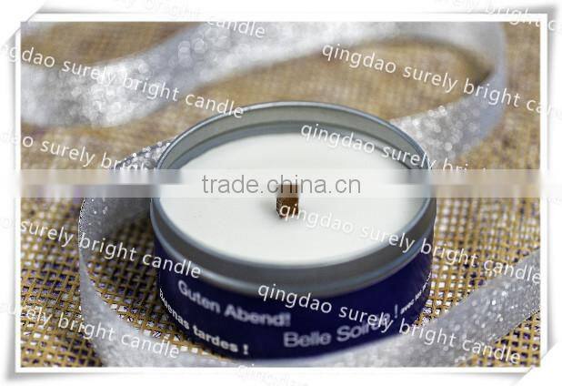 2015 good selling garden citronella candles