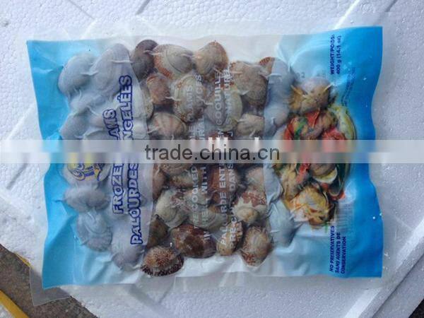 hot sale frozen shell whole baby clam