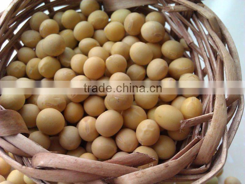 Organic Soybean/soybean/soya bean/yellow soya bean(New crop, Heilongjiang Origin. high protein)