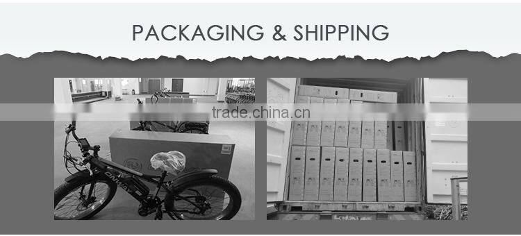 ONWAY Electric Bike Digital LED Display