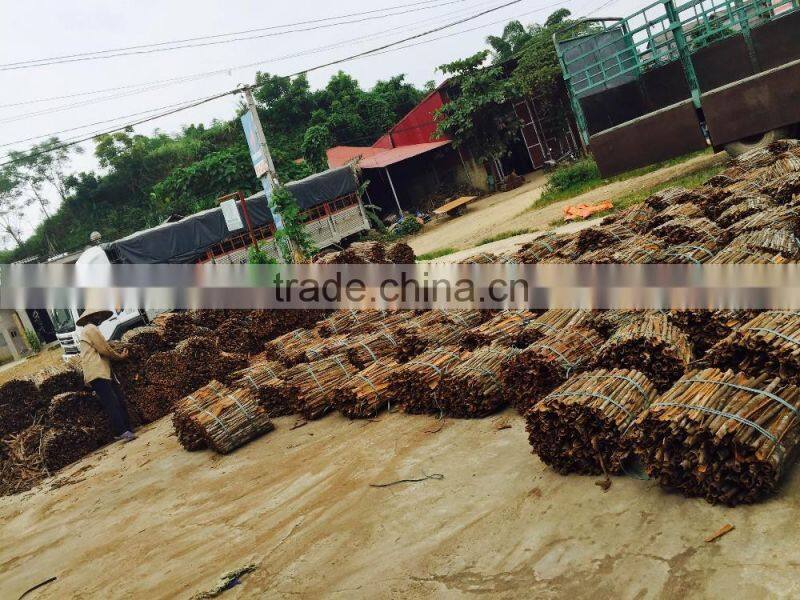 VIETNAM TUBE CASSIA/TUBE CINNAMON/ Pressed Cassia best price(Viber/Whatsaap:+84965152844)