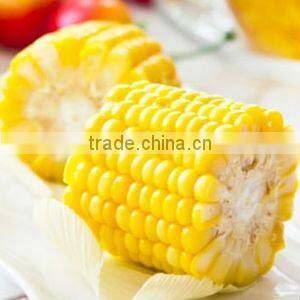 frozen corn brands