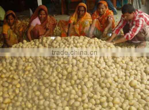 Bangladesh origin Potatos