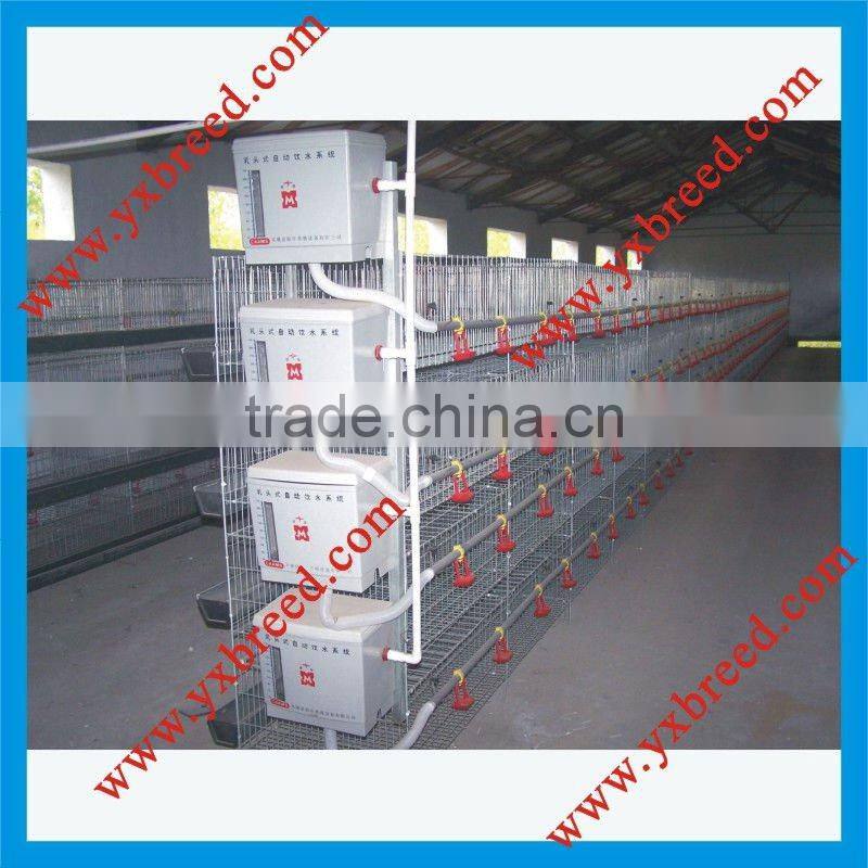 design layer chicken cages for chicken farm