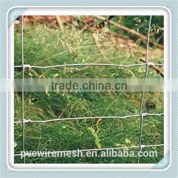 Low carbon steel wire horse wire mesh fence made in china