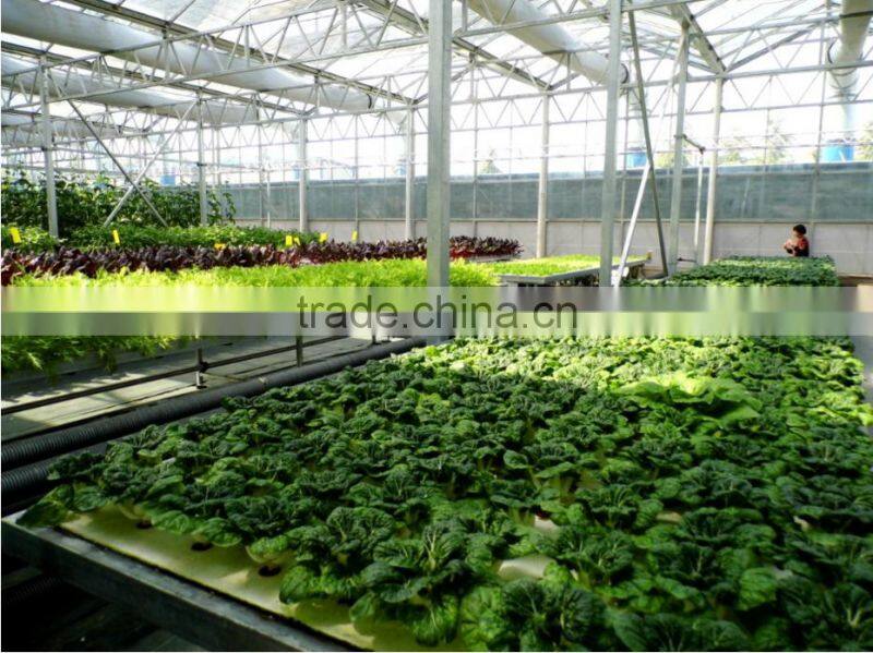 hydroponics growing equipment for sale