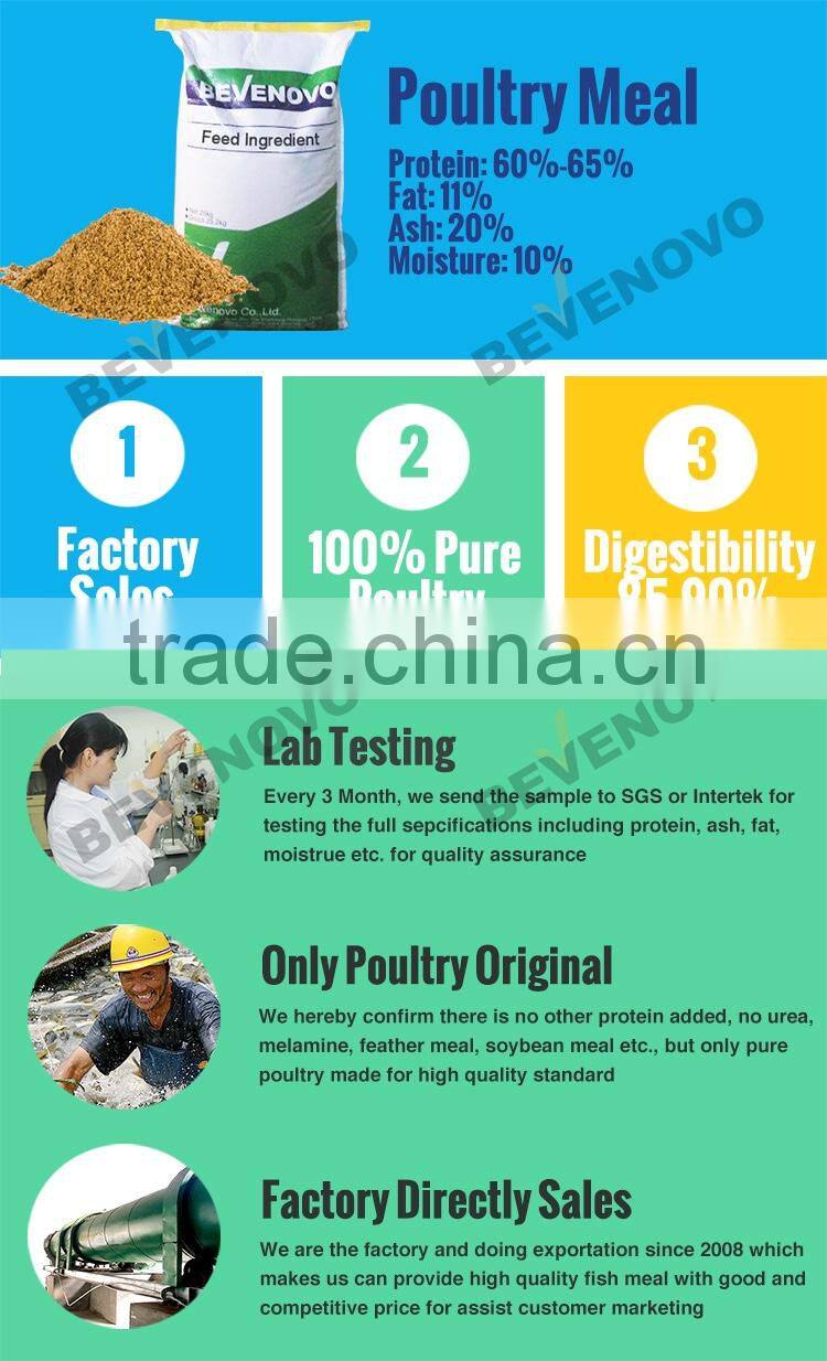 Sell Chicken Meat Meal 60% Protein With Good Price