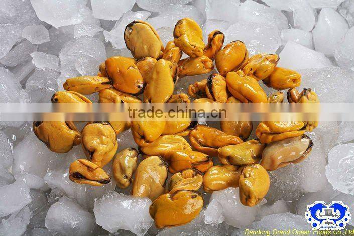 fresh frozen cooked mussel meat seafood