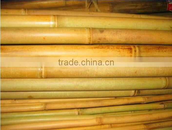 Natural tonkin Bamboo Cane